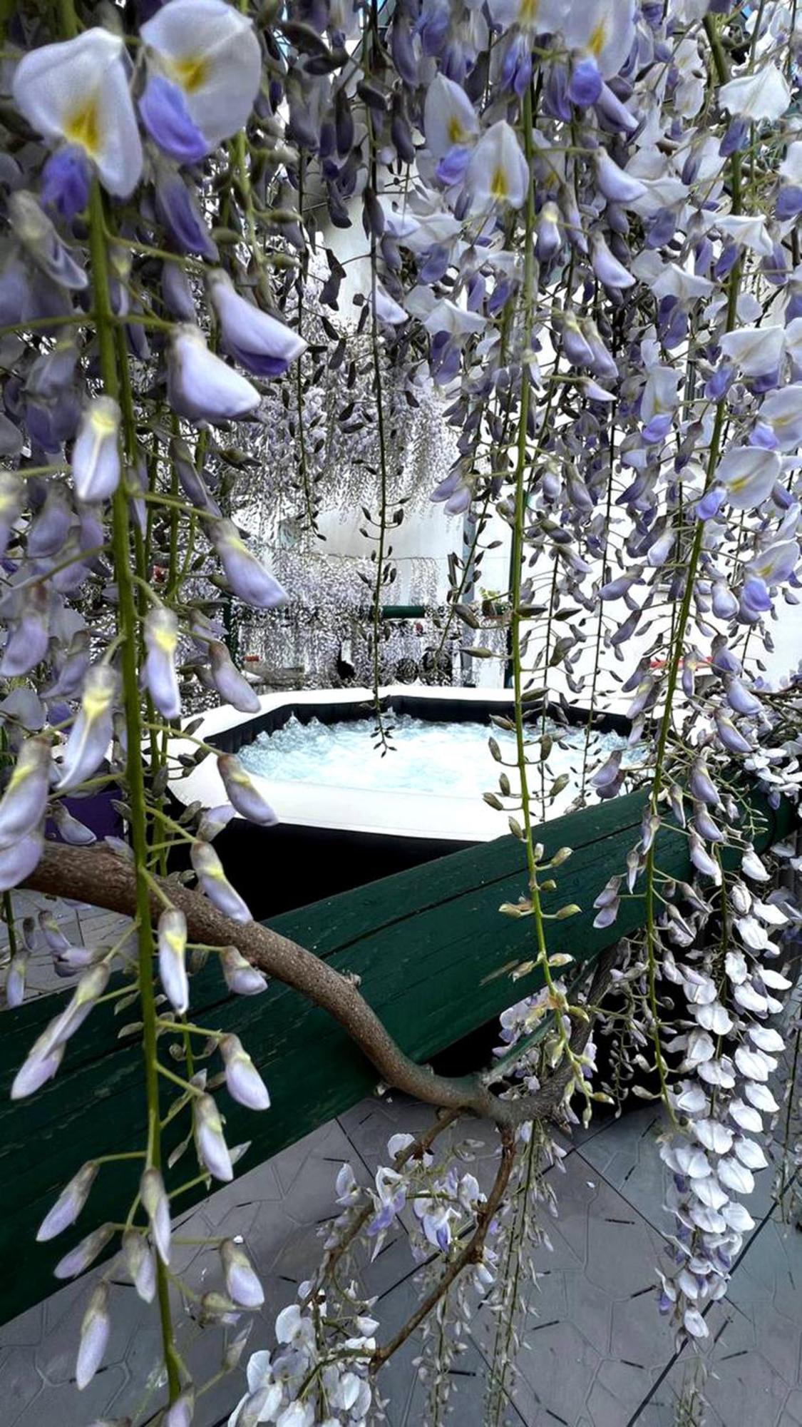 Gan Eden B&B San Benedetto Del Querceto Exterior photo