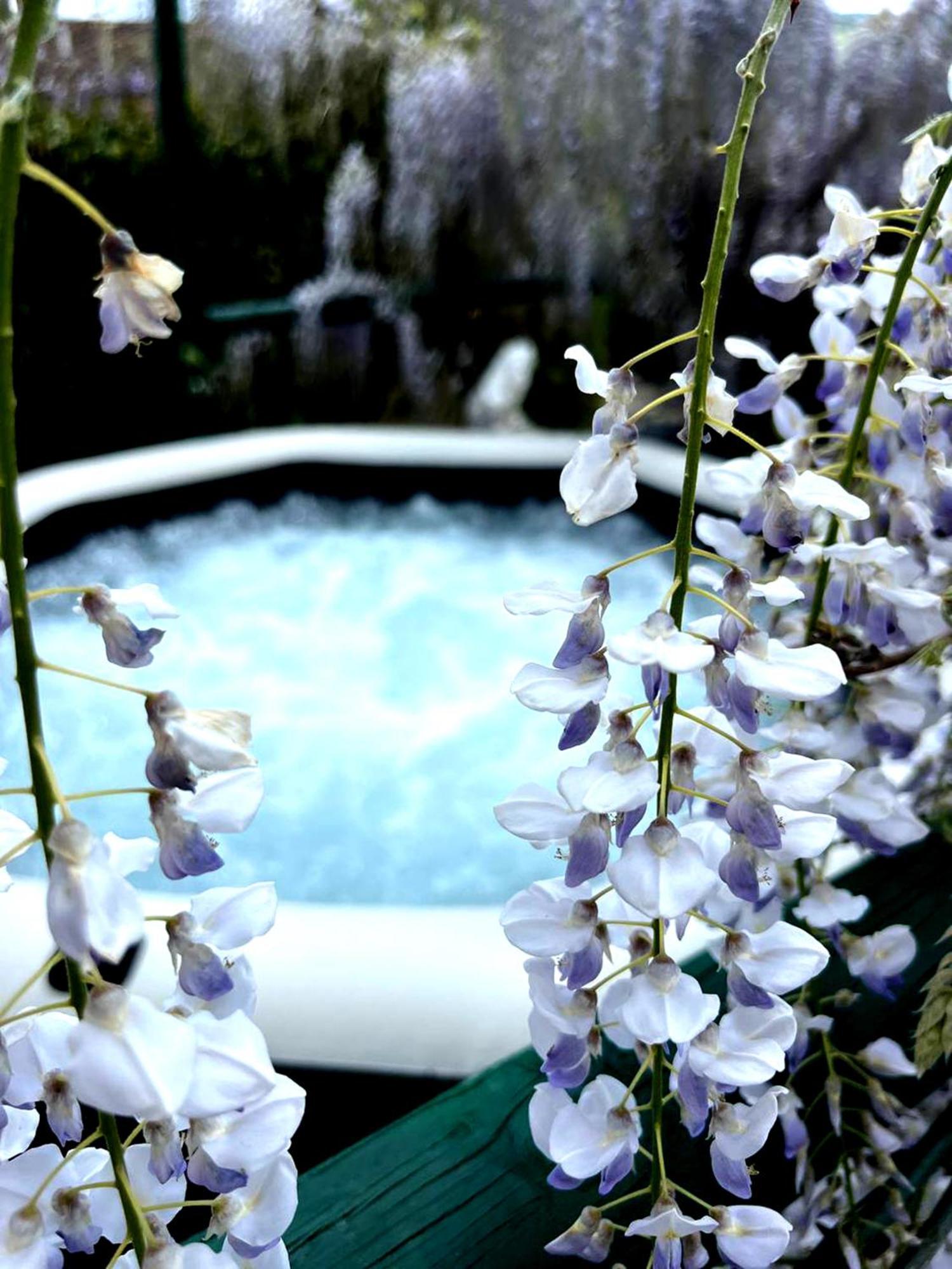Gan Eden B&B San Benedetto Del Querceto Exterior photo